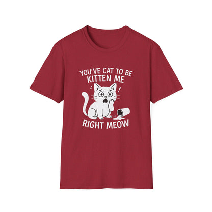 Cat T-Shirt - 'You've Cat To Be Kitten Me Right Meow' Softstyle Tee