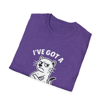 Ferret T-Shirt - 'I've Got a Ferret-Tude' Softstyle Tee