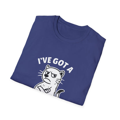 Ferret T-Shirt - 'I've Got a Ferret-Tude' Softstyle Tee