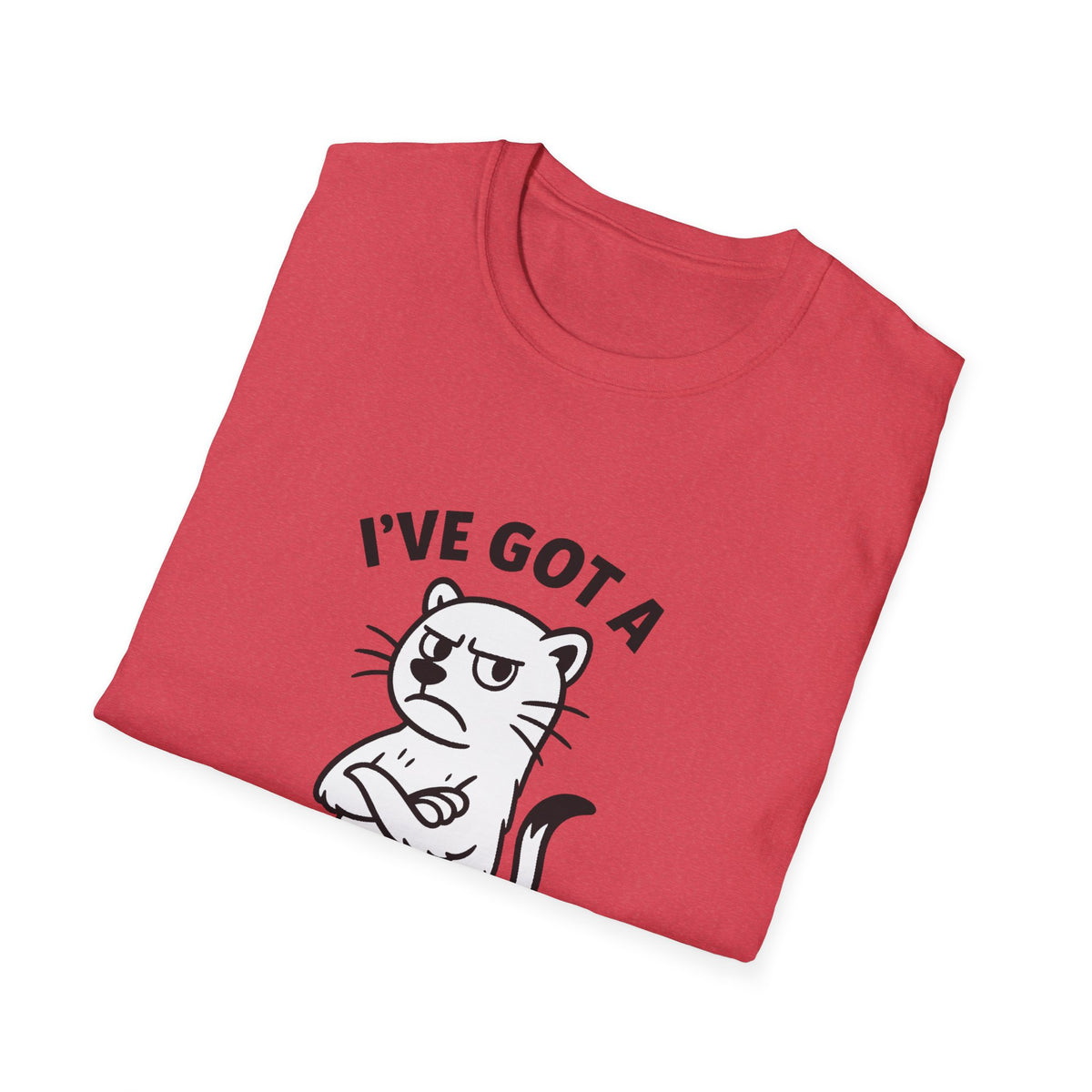 Ferret T-Shirt - 'I've Got a Ferret-Tude' Softstyle Tee
