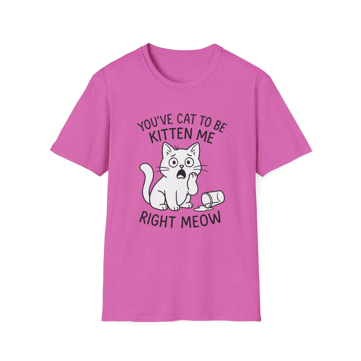 Cat T-Shirt - 'You've Cat To Be Kitten Me Right Meow' Softstyle Tee