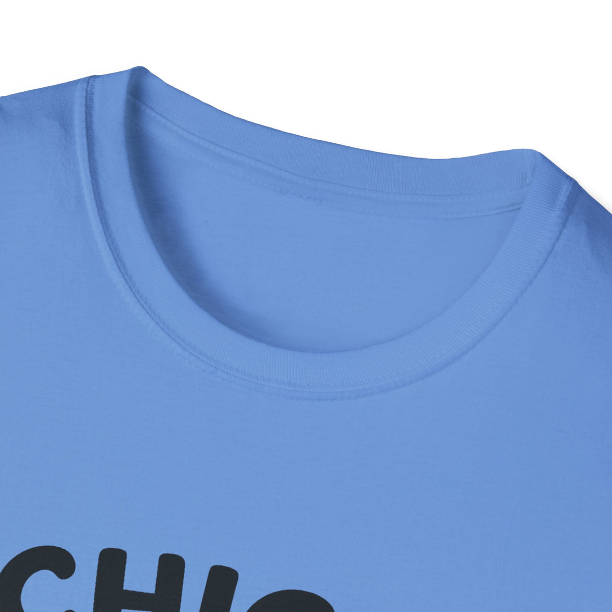Chick T-Shirt - 'Chick Magnet' Softstyle Tee