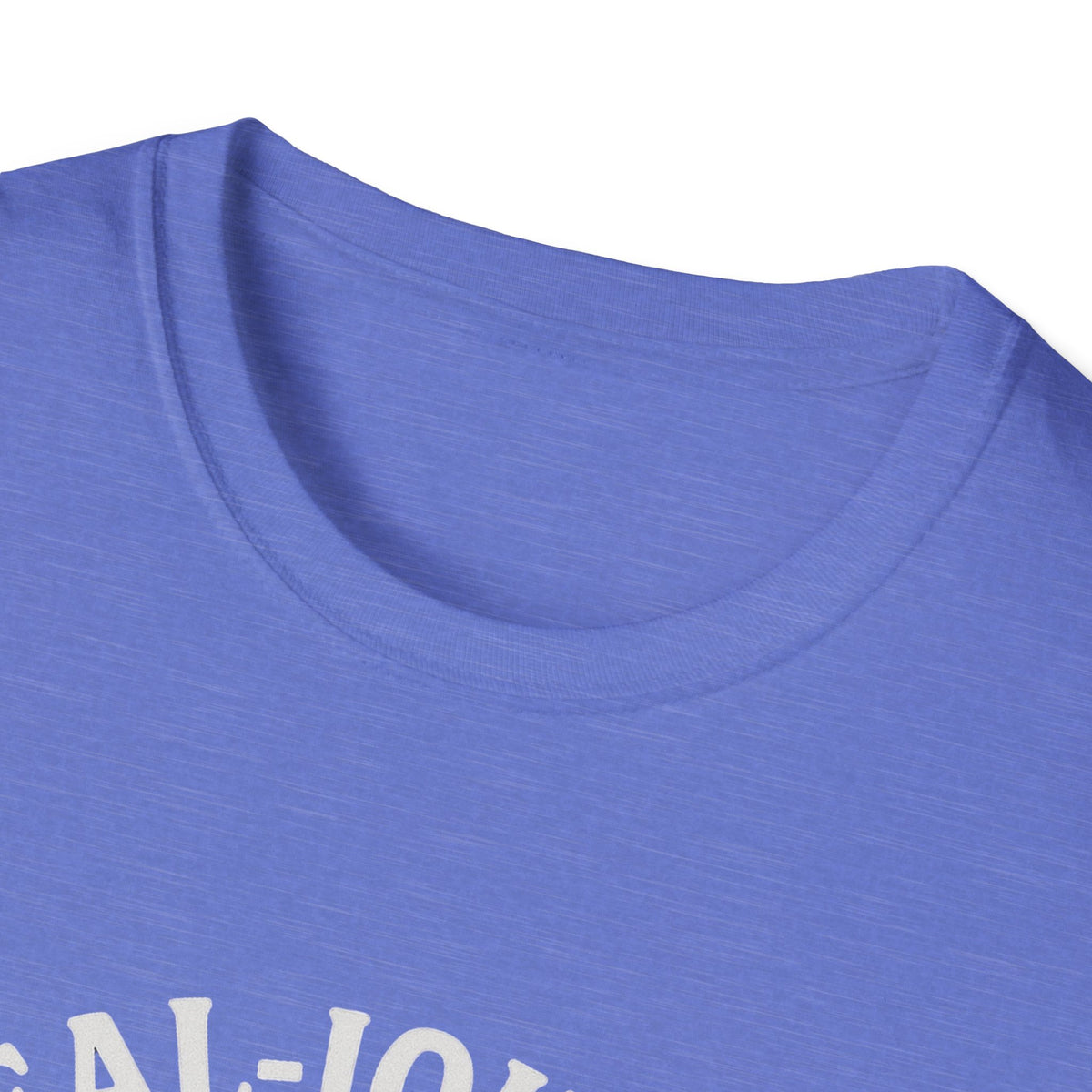 Seal T-Shirt - 'Sealiously Chill' Softstyle Tee