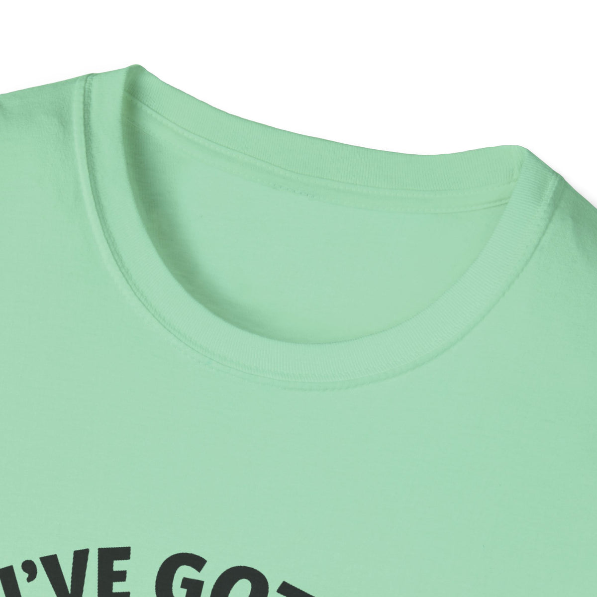 Ferret T-Shirt - 'I've Got a Ferret-Tude' Softstyle Tee
