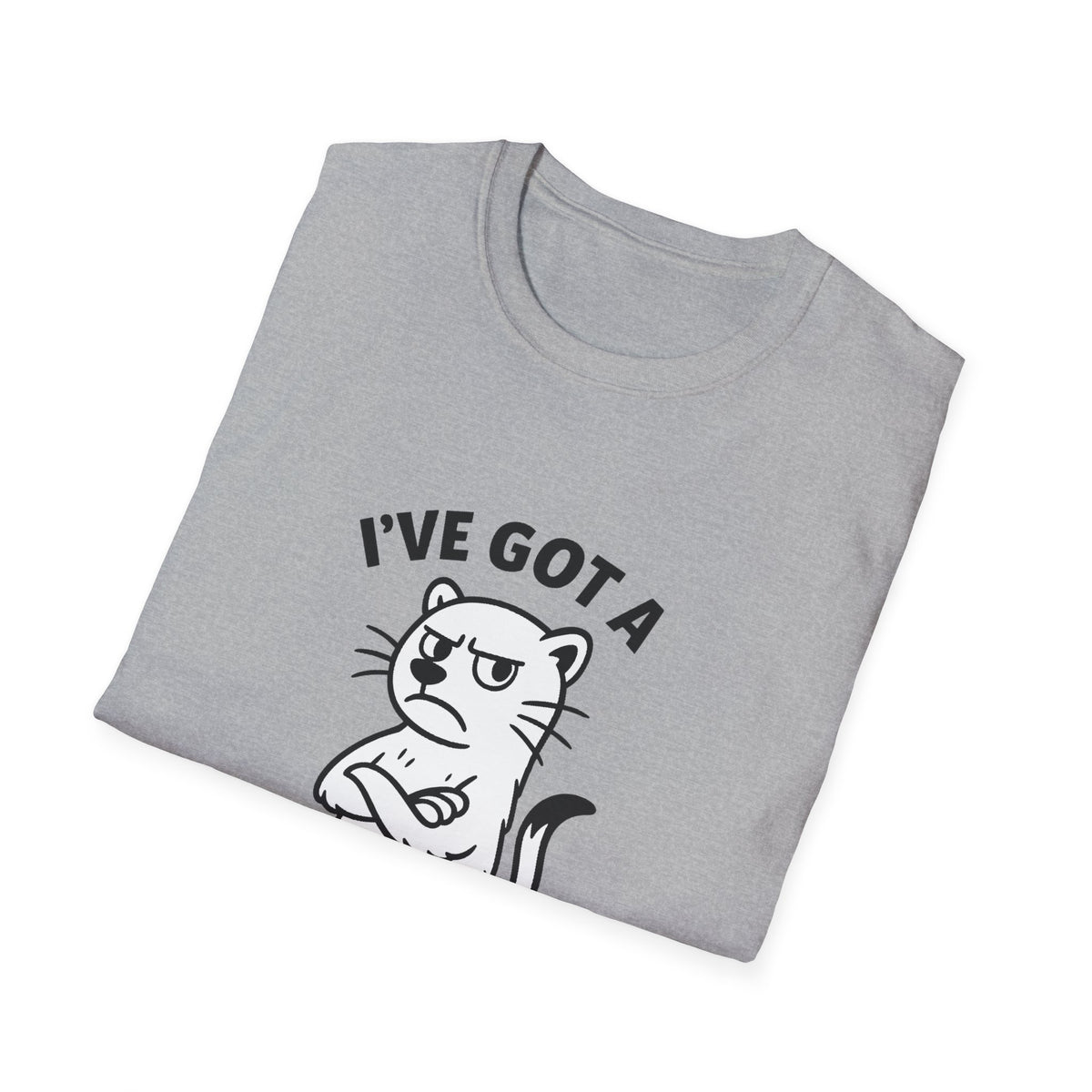 Ferret T-Shirt - 'I've Got a Ferret-Tude' Softstyle Tee