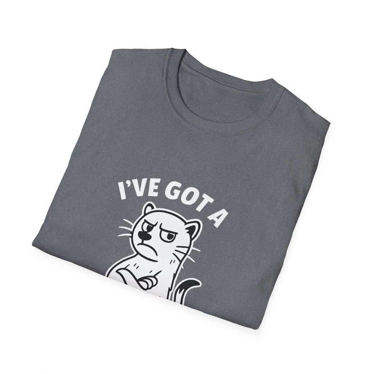 Ferret T-Shirt - 'I've Got a Ferret-Tude' Softstyle Tee